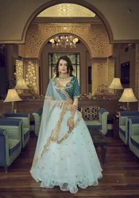 Designer Embroidered Heavy Net Lehenga Choli